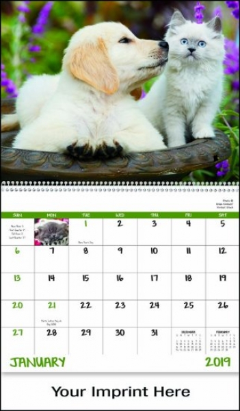 Humorous Calendars